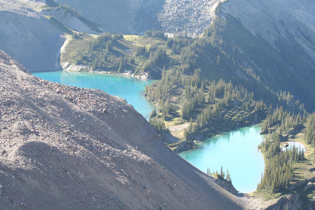 גולדן Vagabond Lodge At Kicking Horse מראה חיצוני תמונה