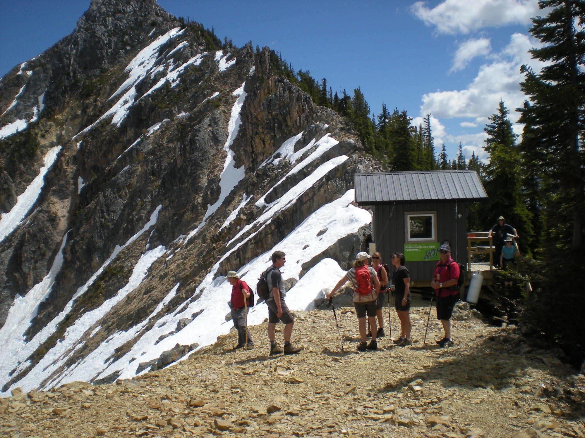 גולדן Vagabond Lodge At Kicking Horse מראה חיצוני תמונה